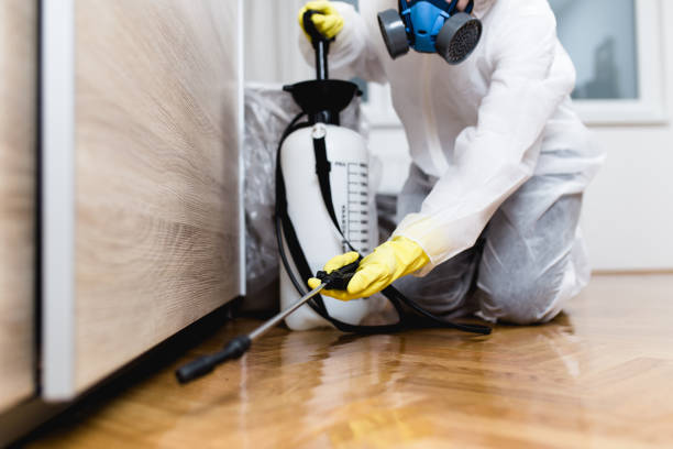 Best Pest Inspection Near Me  in Davisboro, GA