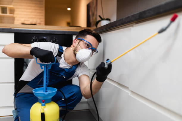 Best Best Pest Control Companies  in Davisboro, GA