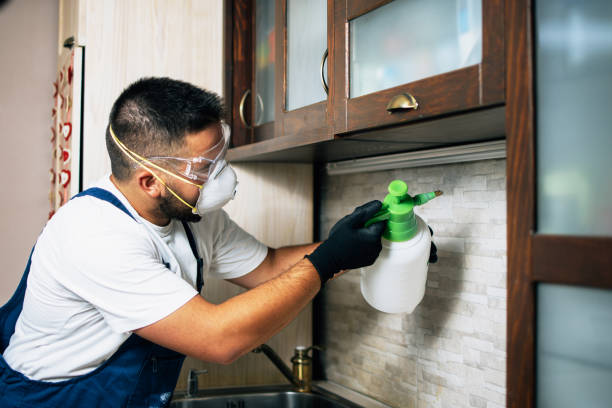Best Pest Removal Services  in Davisboro, GA