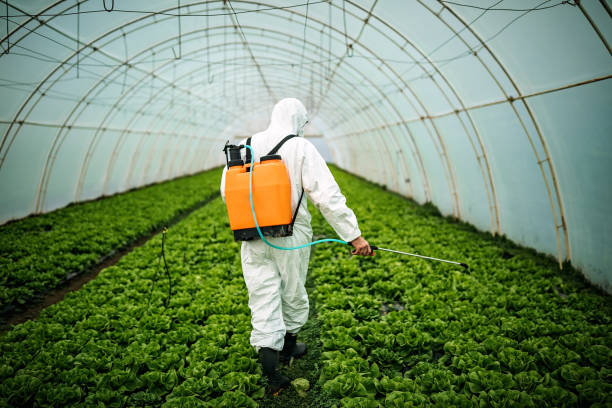 Reliable Davisboro, GA Pest Control Solutions