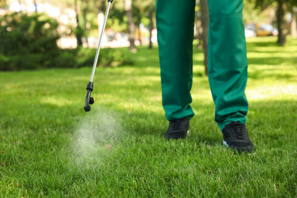 Best Pest Control Cost  in Davisboro, GA