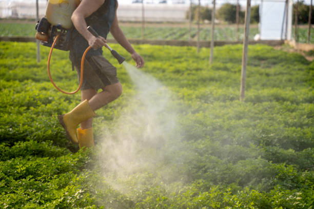 Pest Control for Restaurants in Davisboro, GA