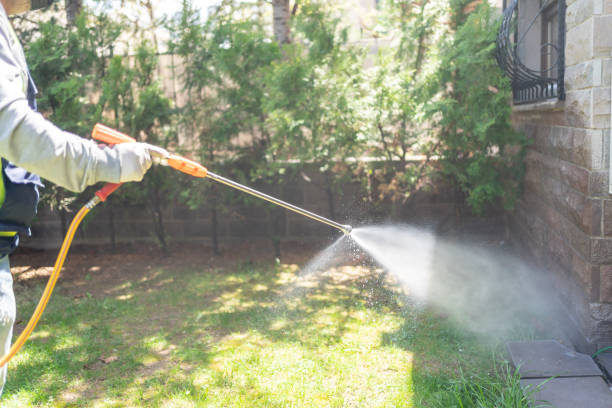 Best Residential Pest Control  in Davisboro, GA