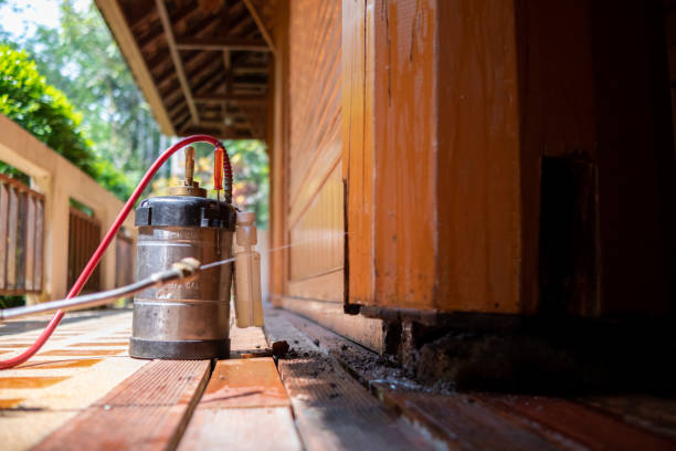 Best Best Pest Control Companies  in Davisboro, GA