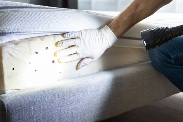 Best Wildlife Control Services  in Davisboro, GA