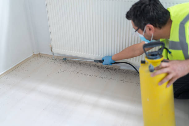 Best Residential Pest Control  in Davisboro, GA